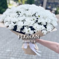 Букет ромашок для коханої дівчини - Фото 4