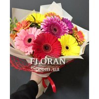 Букет з 9 гербер - Фото 1