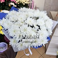 Букет из 9 кустовых хризантем - Фото 1