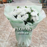 Bouquet of white spray chrysanthemums - Photo 4
