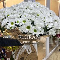 Букет з ромашками - Фото 1