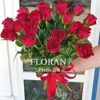 Red Rose - Photo 3
