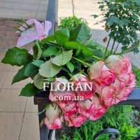 Two-color Jumilia roses in a bouquet - Photo 4