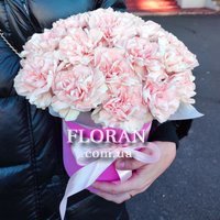 Гвоздики в коробці - Фото 3