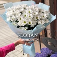 Spray daisies - Photo 1