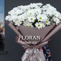 Spray daisies - Photo 2