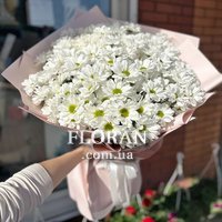 Лучший букет из ромашек - Фото 3