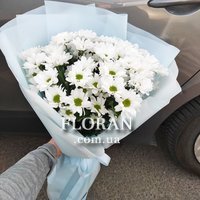 Небольшой букет из ромашек - Фото 2