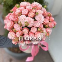 Півонієподібні троянди в коробці - Фото 1