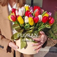 Тюльпани в круглій коробці - Фото 1