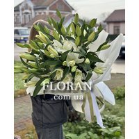 Біла лілія - Фото 1