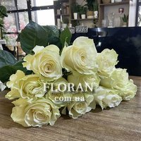 Білі голландські троянди - Фото 7