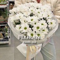 Букет із білих ромашкових хризантем - Фото 11