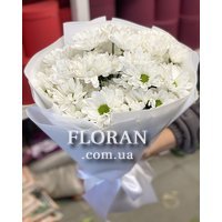 Bouquet of daisies - Photo 9