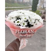 Spray daisies - Photo 8