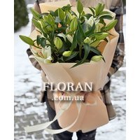 Оригінальний букет із лілій - Фото 3