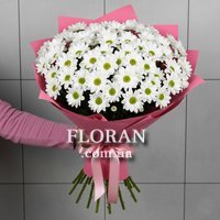 Daisies flowers - Photo 3
