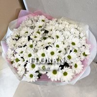 Daisies flowers - Photo 4