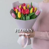 Tulips with ribbon - Photo 1