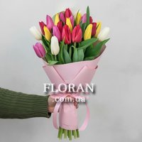 23 multicolored tulips - Photo 1