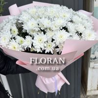 15 хризантем - Фото 4