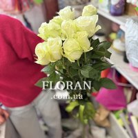 White Dutch roses - Photo 8