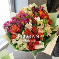 Букет із 15 альстромерій - Фото 5