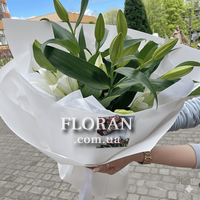 Lily in craft - Photo 2