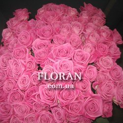 100 роз - Фото 1