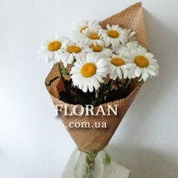 11 ромашок - Фото 1