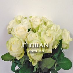 15 білих троянд - Фото 2