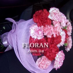 15 гвоздик - Фото 1