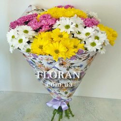 15 кущових хризантем - Фото 3