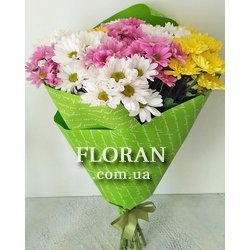 15 spray chrysanthemums - Photo 4