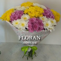 15 кущових хризантем - Фото 1