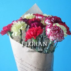 17 гвоздик - Фото 1