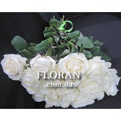 19 white roses - Photo 1