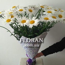 25 ромашок - Фото 1