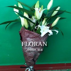 3 lilies - Photo 5
