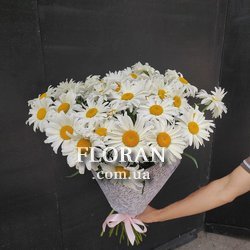 33 ромашки - Фото 1