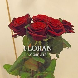 5 червоних троянд - Фото 3
