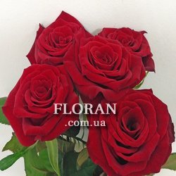 5 red roses - Photo 9