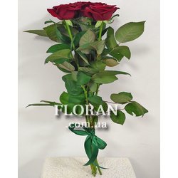 5 red roses - Photo 2