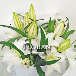 5 лілій - Фото 2