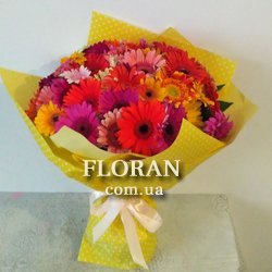 51 гербера - Фото 1