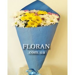 7 chrysanthemums - Photo 2