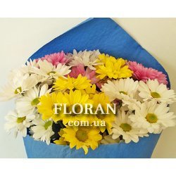7 chrysanthemums - Photo 3