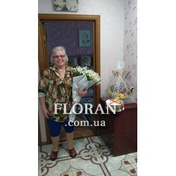 Альстромерія біла - Фото 1