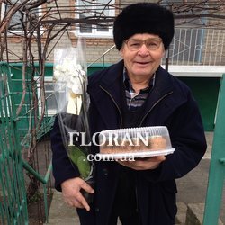 Біла орхідея в горщику - Фото 4