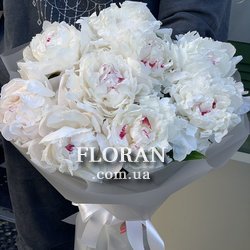 Букет 9 півоній - Фото 1